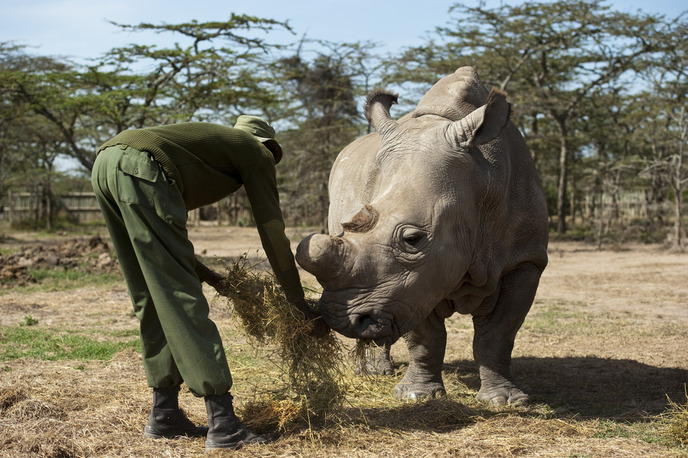 World Rhino Day