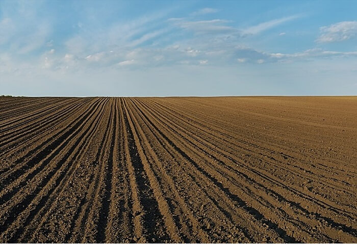 Soil Analysis